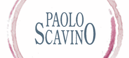 logo Paolo Scavino