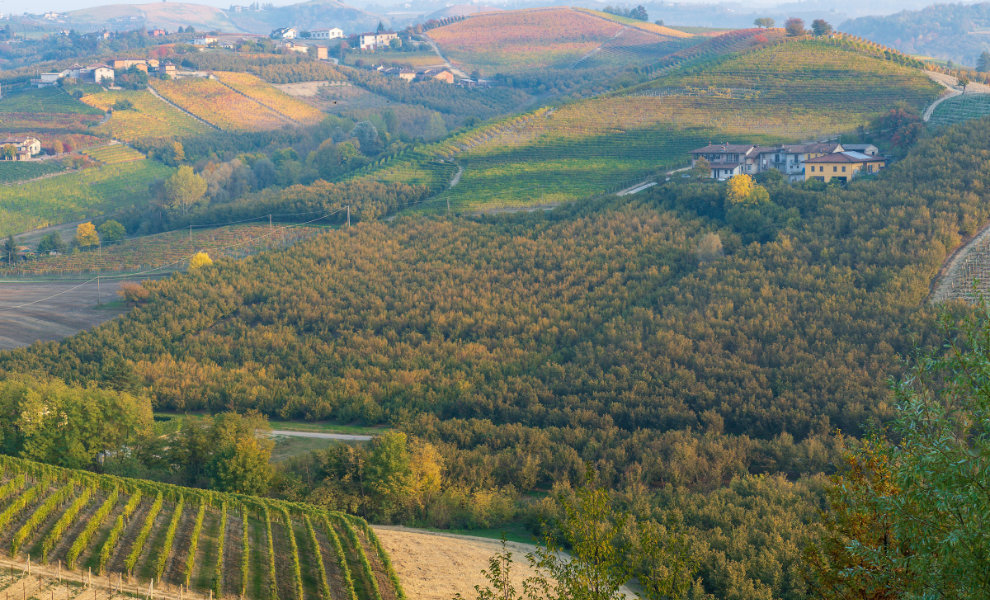 sfondo principale Prezzo Barolo