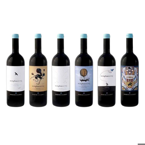 Immagine vino Domenico Clerico, Barolo DOCG Aeroplanservaj 2011